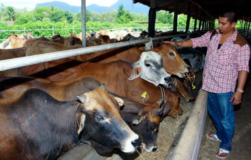 PUSAT KUARANTIN HAIWAN IMPORT