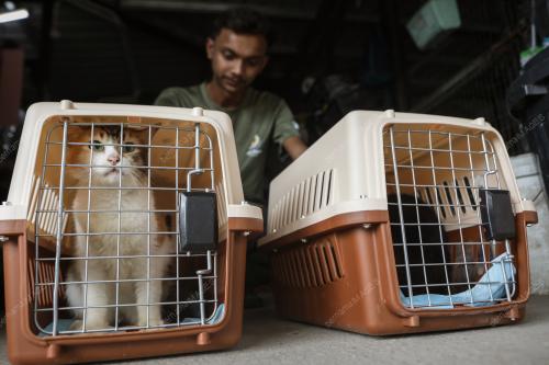 WAD KUARANTIN BUSTANA KUCING