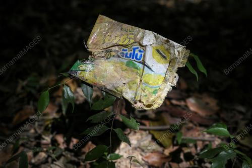 BUKIT WANG BURMA, WANG KELIAN