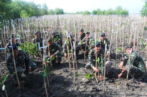PROJEK TANAMAN POKOK BAKAU