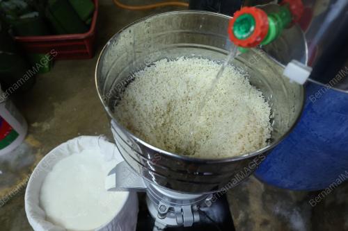 KUIH BAKUL