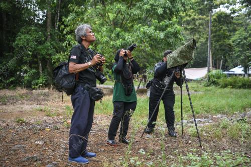 JABATAN HUTAN PERLIS