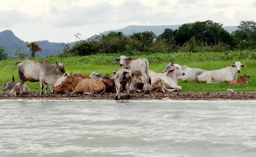 EMPANGAN TIMAH TASOH