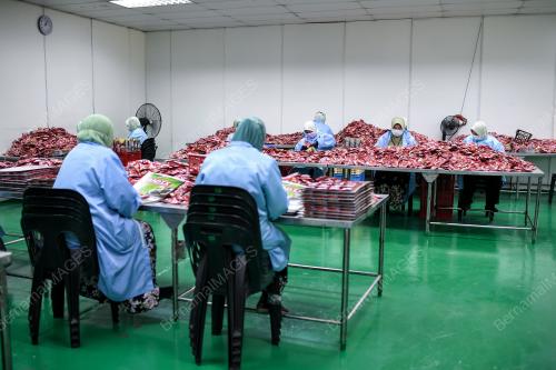 PRODUK MINUMAN RADIX