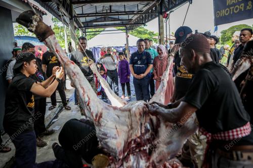 TUANKU SYED FAIZUDDIN PUTRA JAMALULLAIL