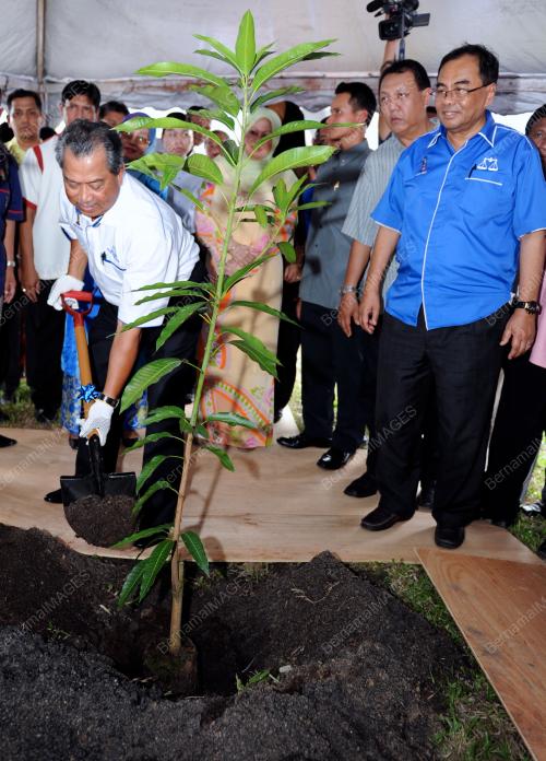 PR15_14012012_TPM_POKOK