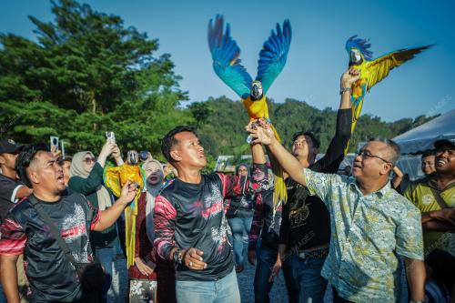 FREE FLY PARROT MALAYSIA