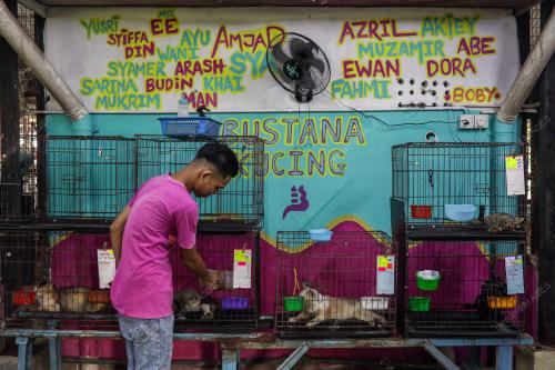 WAD KUARANTIN BUSTANA KUCING