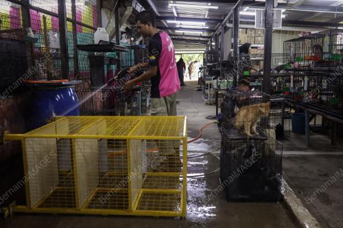 WAD KUARANTIN BUSTANA KUCING