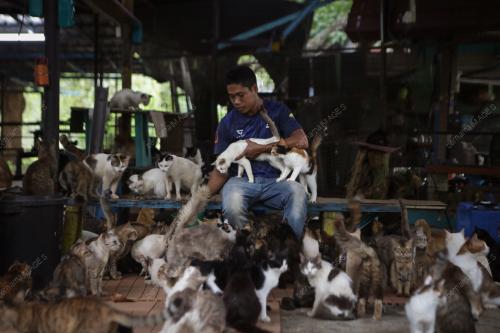WAD KUARANTIN BUSTANA KUCING