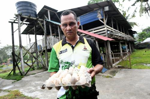 PRK01_19022019_KANDANG