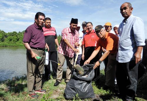 PRK03_15092014_PRK_AEDES