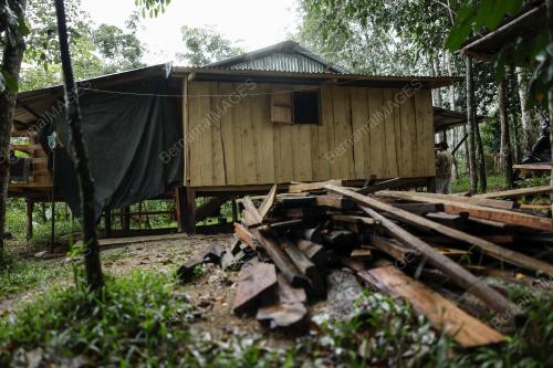 RUMAH KAYU SUKU MENDRIQ