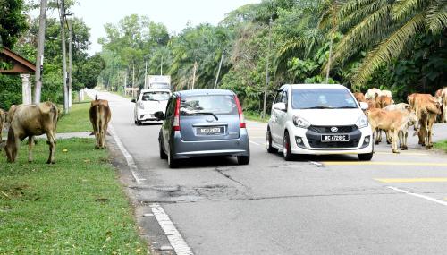 PRK04_31032019_RANTAU