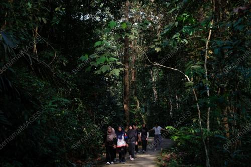 PILIHAN RAYA KECIL DUN N.29 MAHKOTA
