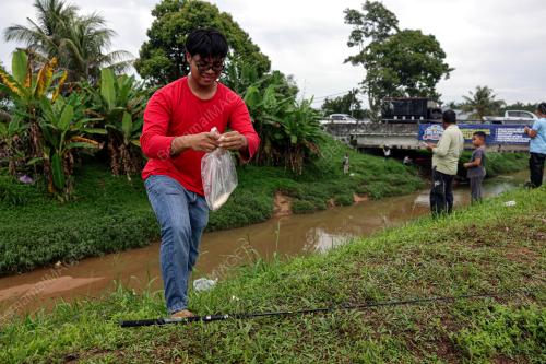 PRK DUN N29 MAHKOTA