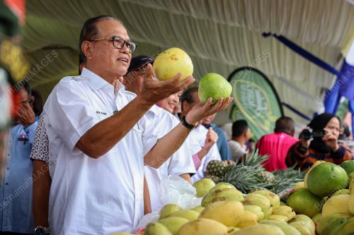 DATUK SERI WAN ROSDY WAN ISMAIL