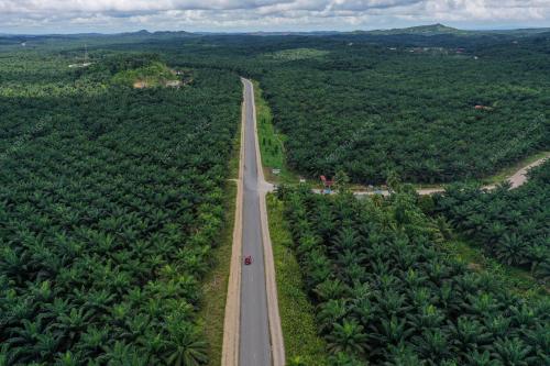 PILIHAN RAYA KECIL PARLIMEN KINABATANGAN DAN DUN LAMAG