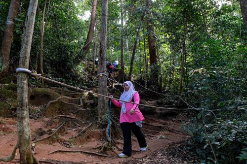 PILIHAN RAYA KECIL DUN N.29 MAHKOTA