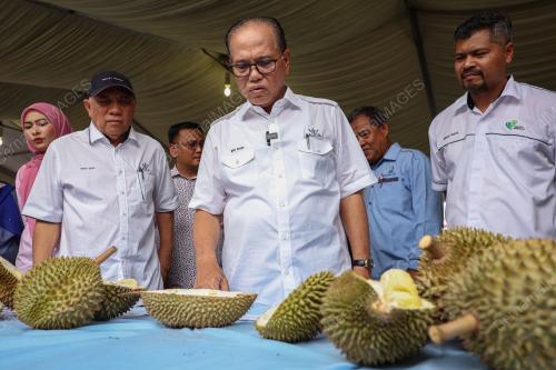 DATUK SERI WAN ROSDY WAN ISMAIL