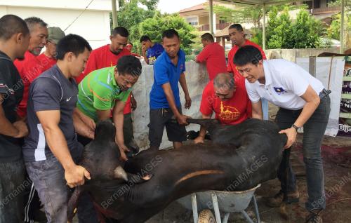 PRK14_22082018_BALAKONG