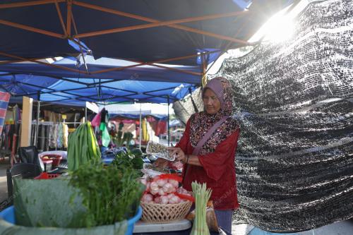 PILIHAN RAYA KECIL PARLIMEN KINABATANGAN DAN DUN LAMAG