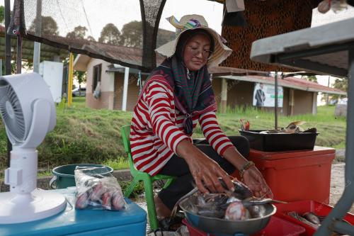 PILIHAN RAYA KECIL PARLIMEN KINABATANGAN DAN DUN LAMAG