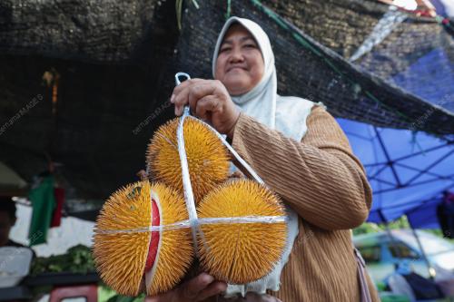 PILIHAN RAYA KECIL PARLIMEN KINABATANGAN DAN DUN LAMAG