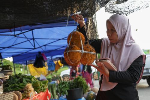 PILIHAN RAYA KECIL PARLIMEN KINABATANGAN DAN DUN LAMAG