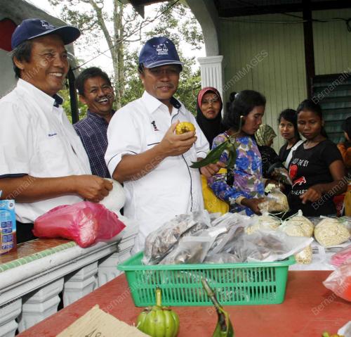 SHAFIE APDAL