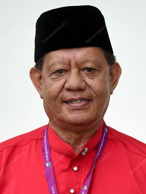 TENGKU DATUK ZAINUL HISHAM TENGKU HUSSIN