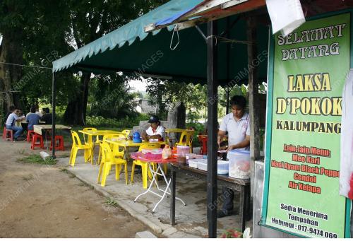 D'POKOK