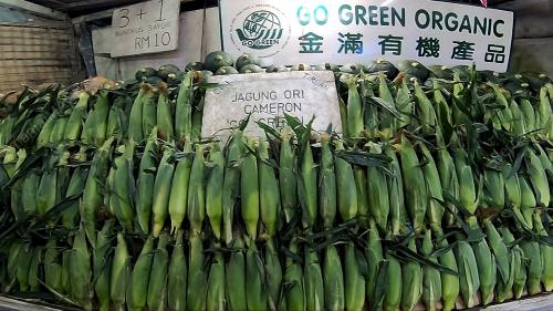 PRK37_18012019_JAGUNG