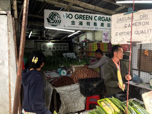 PRK38_18012019_JAGUNG