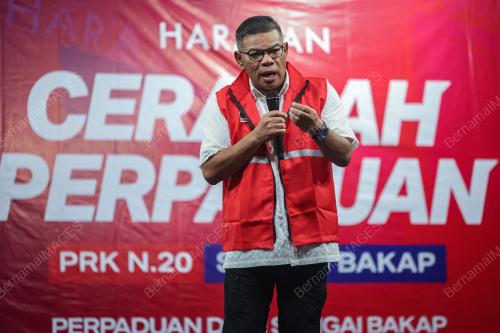 DATUK SERI SAIFUDDIN NASUTION ISMAIL
