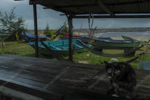 TINJAUAN CUACA HUJAN DAN LAUT BERGELORA