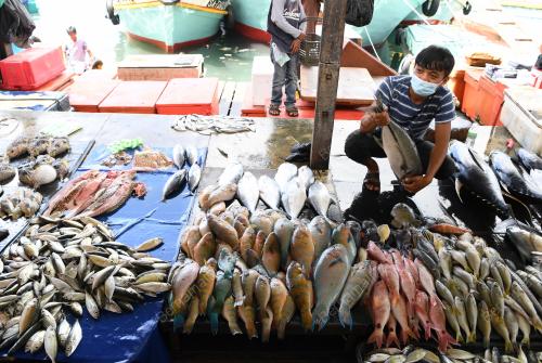 TINJAUAN DI PASAR IKAN SEAFEST