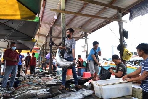 TINJAUAN DI PASAR IKAN SEAFEST