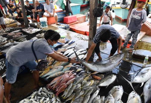 TINJAUAN DI PASAR IKAN SEAFEST