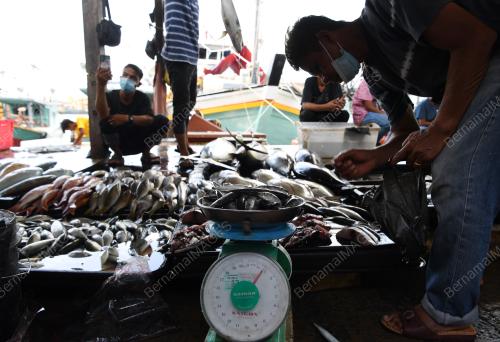 TINJAUAN DI PASAR IKAN SEAFEST