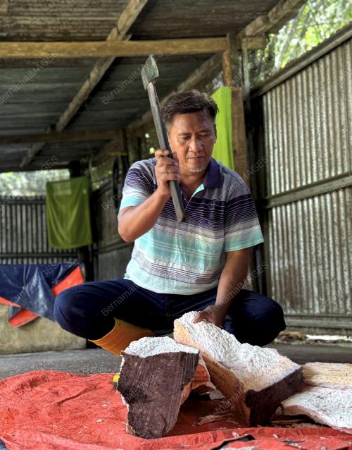 SAGU LUMADAN