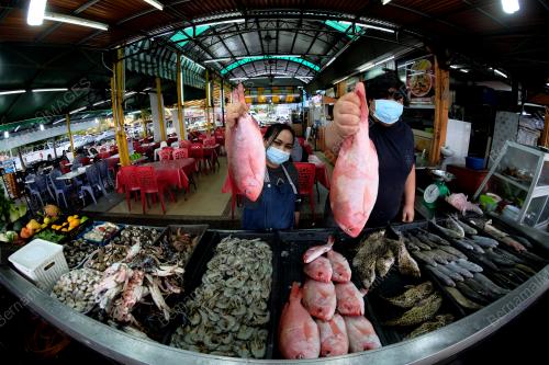 MAKANAN LAUT SEGAR DI BENTING