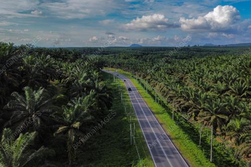 PILIHAN RAYA NEGERI SABAH KE-17