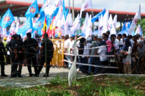 PENAMAAN CALON PRN SABAH