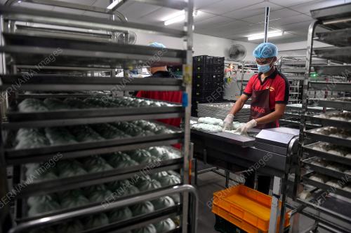KILANG PAU MIRA FROZEN FOOD SDN BHD