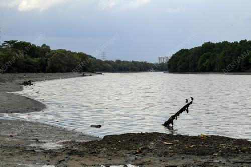 PENCEMARAN SUNGAI TEBRAU