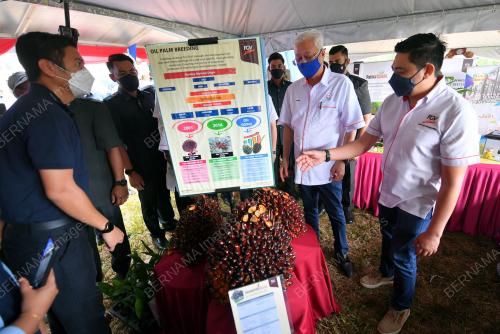 DATUK SERI ISMAIL SABRI YAAKOB