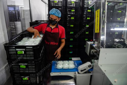 KILANG PAU MIRA FROZEN FOOD SDN BHD