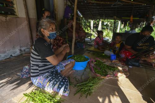 TEMUBUAL ORANG ASAL KAMPUNG SENTOSA SEMPENA PRN JOHOR