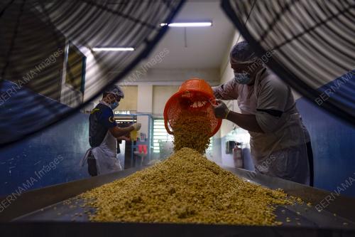 PEMBUATAN TEMPE DI POJI'S TEMPE, BUKIT TANGKAK